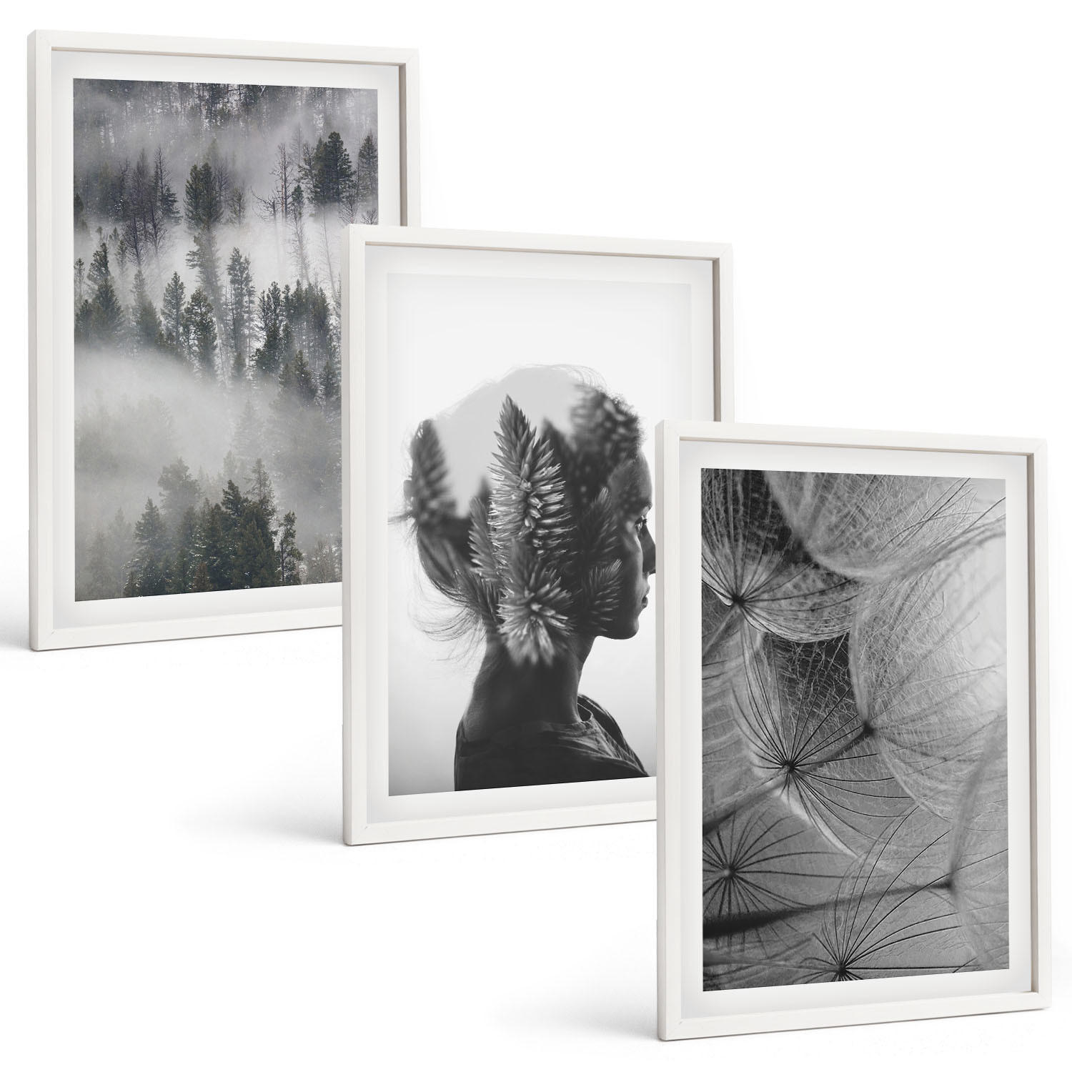 BILDER SET 3er Set - 40x60 cm Weißer Rahmen - Waldnebelporträt Baum Löwenzahn - Weiß, Kunststoff (40/60cm) - TULUP