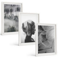 BILDER SET 3er Set - 40x60 cm Weißer Rahmen - Waldnebelporträt Baum Löwenzahn - Weiß, Kunststoff (40/60cm) - TULUP