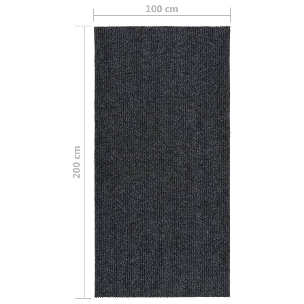 SCHMUTZFANGMATTE 100/200 cm Anthrazit - Anthrazit, Kunststoff/Textil (100/200cm) - vidaXL