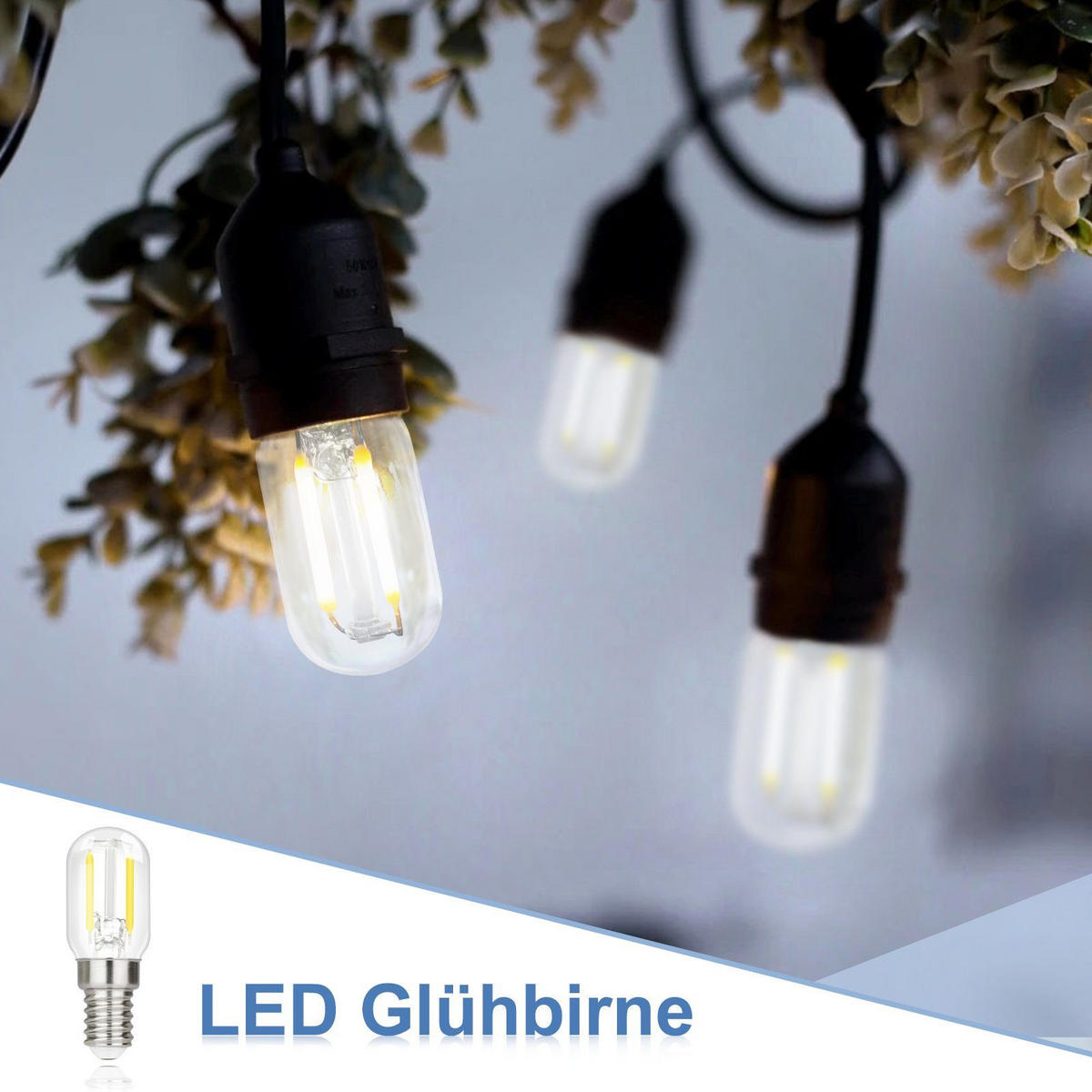 LED-LEUCHTMITTEL Aschaffenburg II 6.4/2.2/2.2cm(2er-set) - Transparent, Glas (2.2/2.2cm) - Nettlife