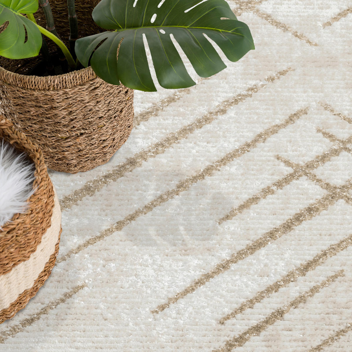 KURZFLOR-TEPPICH Antik 245 Creme 80x300 cm - Creme, Textil (80/300cm) - carpet city