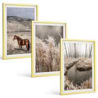 BILDER SET 3er Set - 40x60 cm Goldrahmen - Pferde, Landschaft, Gras, Bach - Goldfarben, Kunststoff (40/60cm) - TULUP