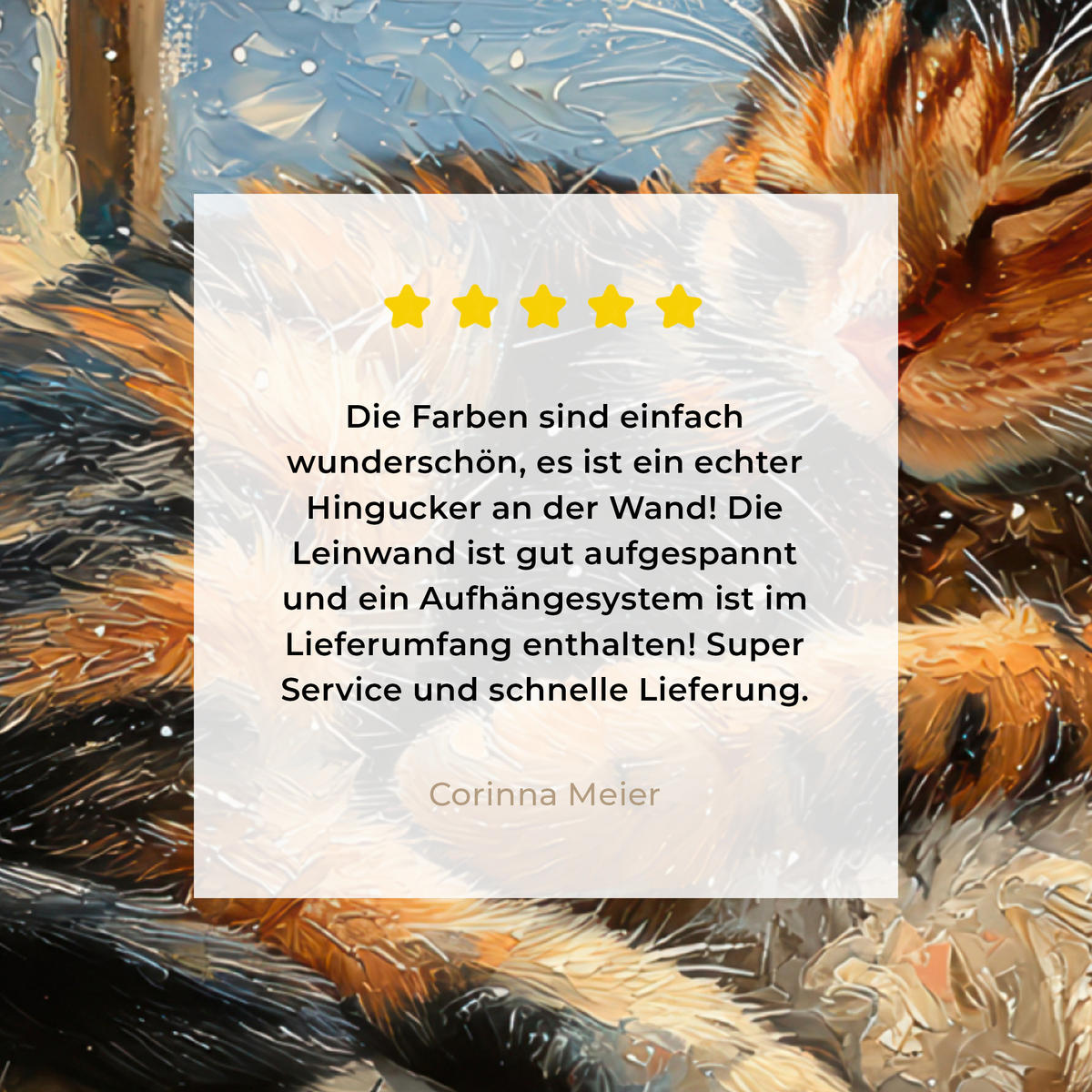 LEINWANDBILD Katze - Weihnachten - Winter - Tier 50x50 cm - Bernsteinfarben, Textil (50/50cm) - MuchoWow