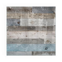 GLASPLATTE für Kamin 50x50 cm - Grau, Glas (50/50/0.4cm) - TULUP