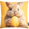 DEKOKISSEN EASTER PARTY Hase - Gelb, Textil (45/45/8cm) - Magma Heimtexx