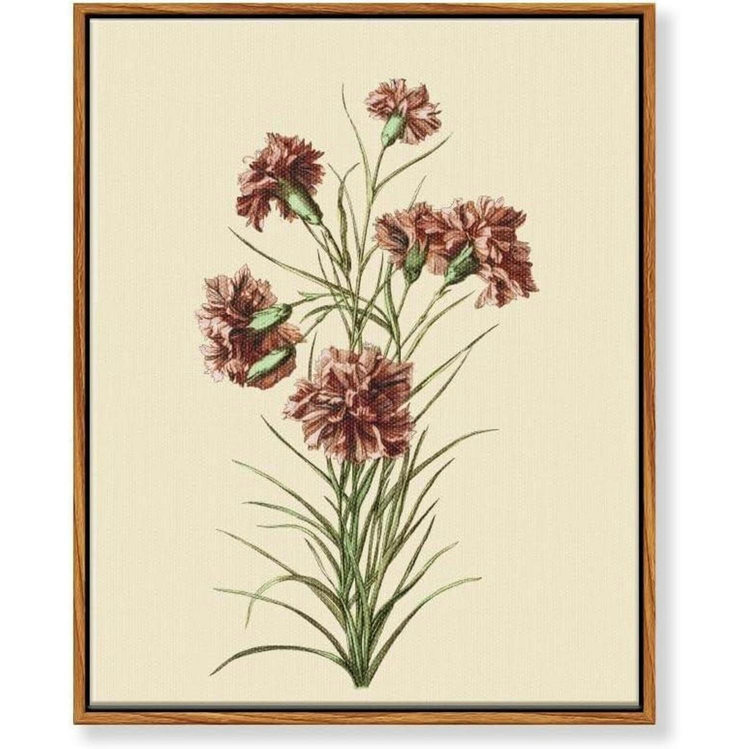 LEINWANDBILD mit Rahmen Botanisch Rosa Nelke 30 x 40 cm - Rosa, Holz (30/0.5cm)