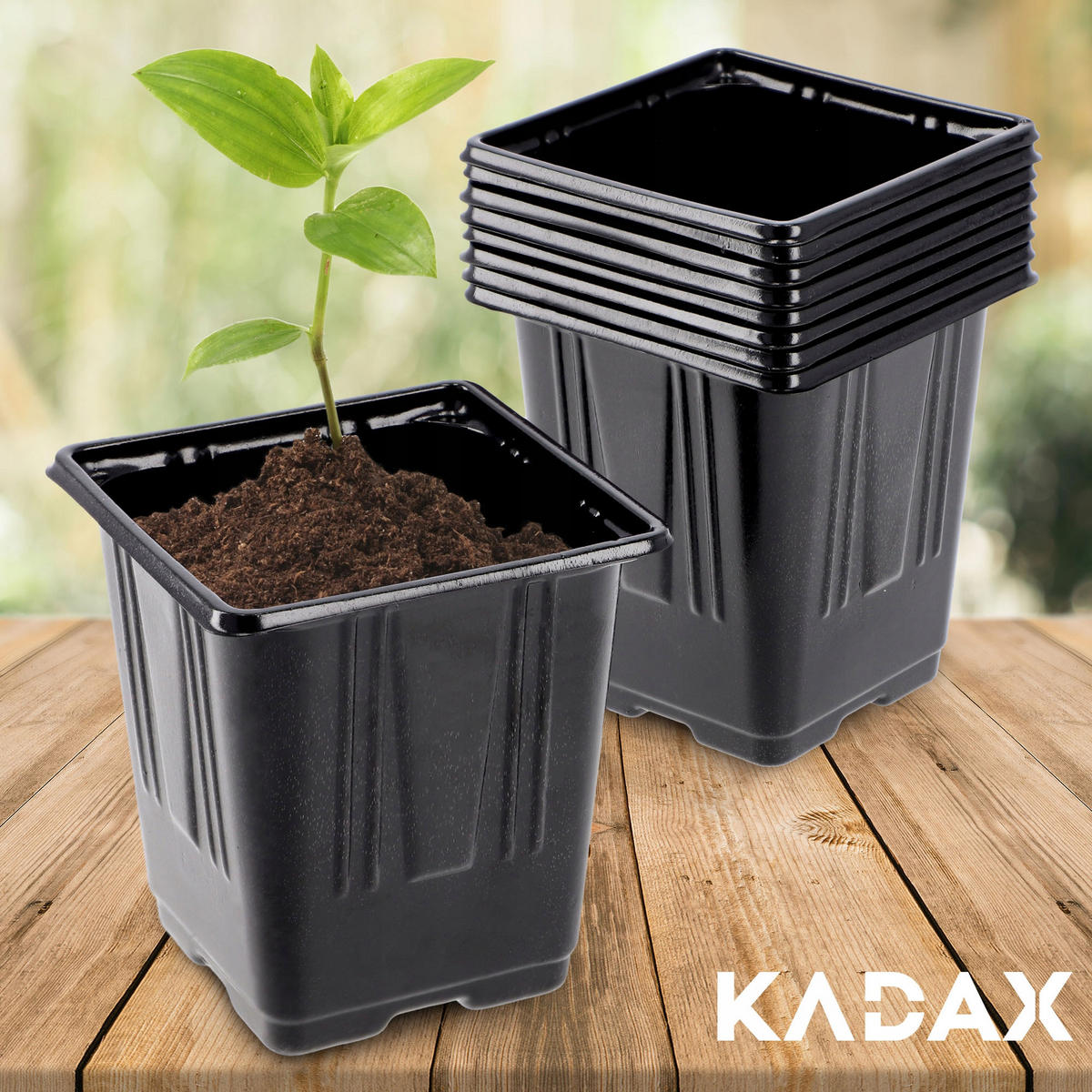 SAMENTOPF, quadratisch, 9 cm, 9 Stück - Schwarz, Kunststoff - KADAX