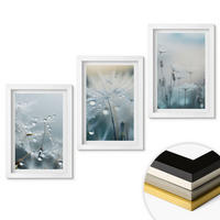 WANDBILDER 3er-Set - 20x30 cm Weißer Rahmen - Tautropfen auf Löwenzahn - Weiß, Kunststoff (20/30cm) - ArtPrintCave