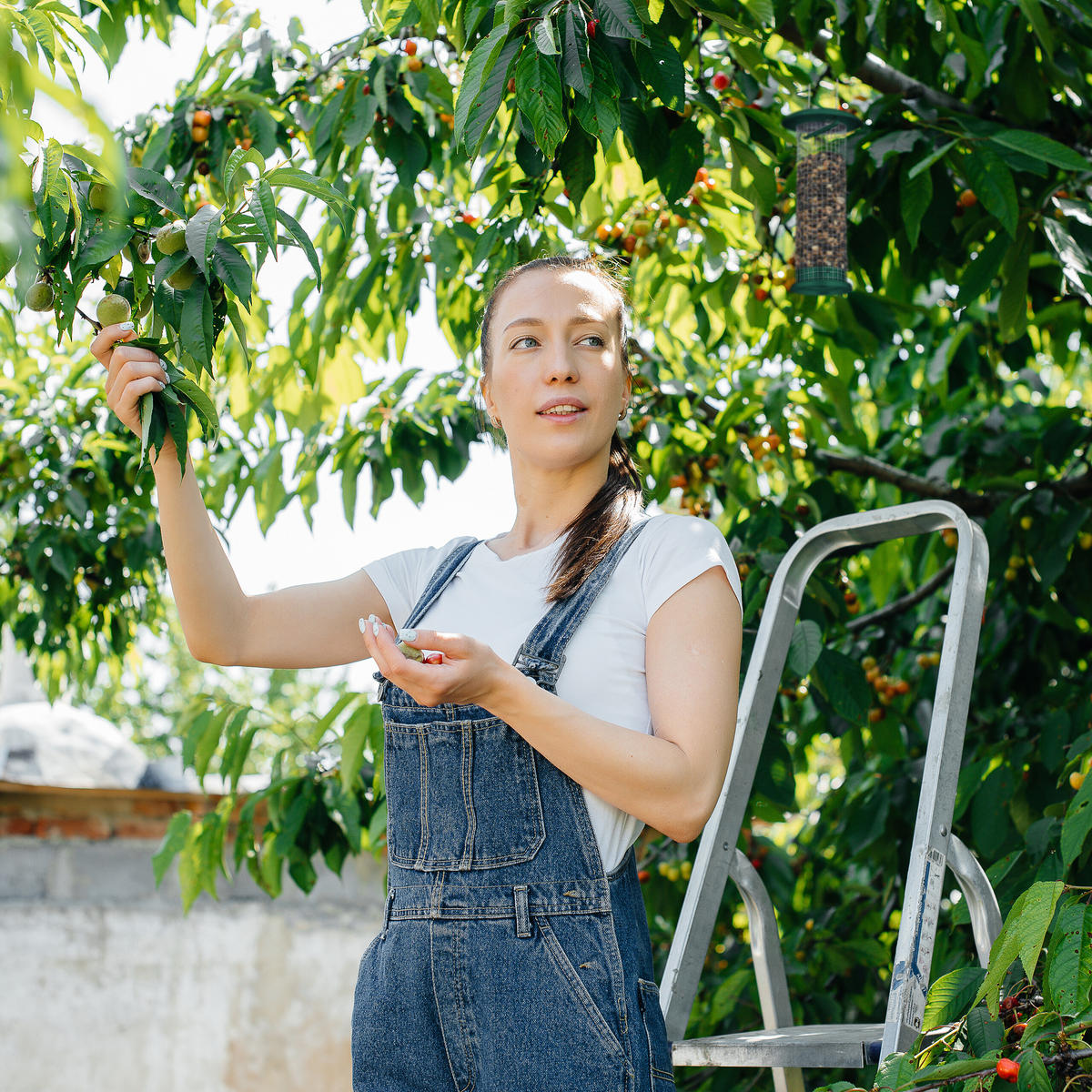 2XVOGELFUTTERSTATION - Multicolor, Metall (10/31/10cm) - Relaxdays