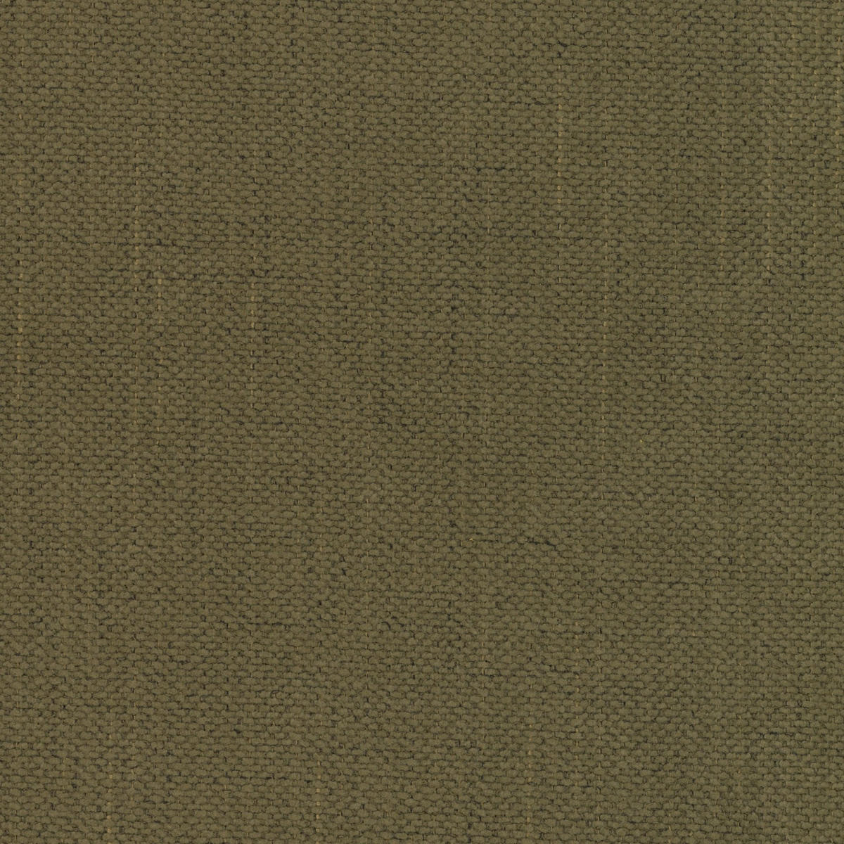 SOFA 2-Sitzer, Komfort, BALOO, Stoff Schenille, Olive - Olivgrün, Holz (196/75/106cm) - Kaiser Möbel