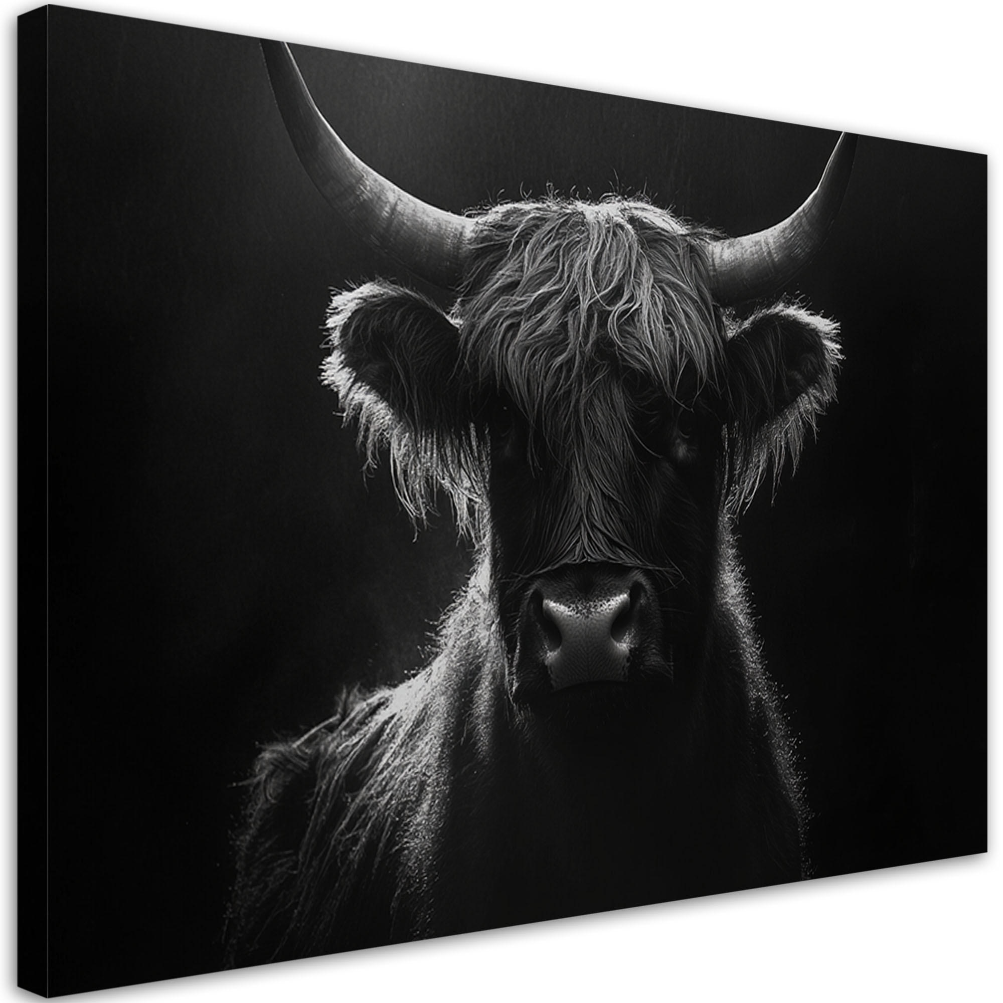 WANDBILD schottische kuh schwarz und weiß - Schwarz, Textil (60/40cm) - Feeby