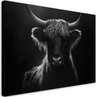 WANDBILD schottische kuh schwarz und weiß - Schwarz, Textil (60/40cm) - Feeby