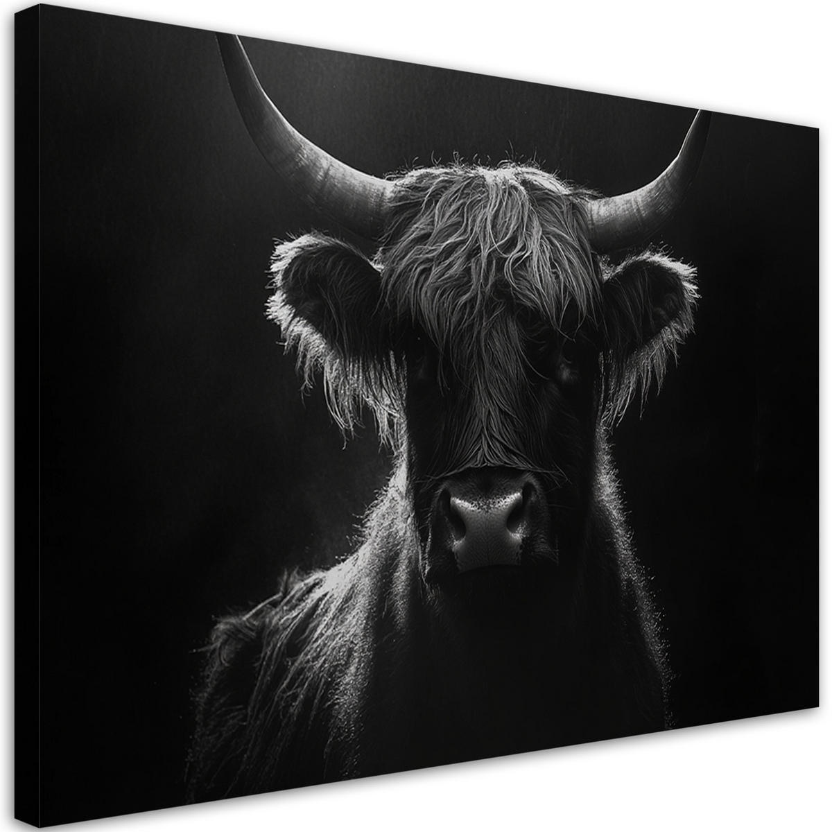 WANDBILD schottische kuh schwarz und weiß - Schwarz, Textil (60/40cm) - Feeby