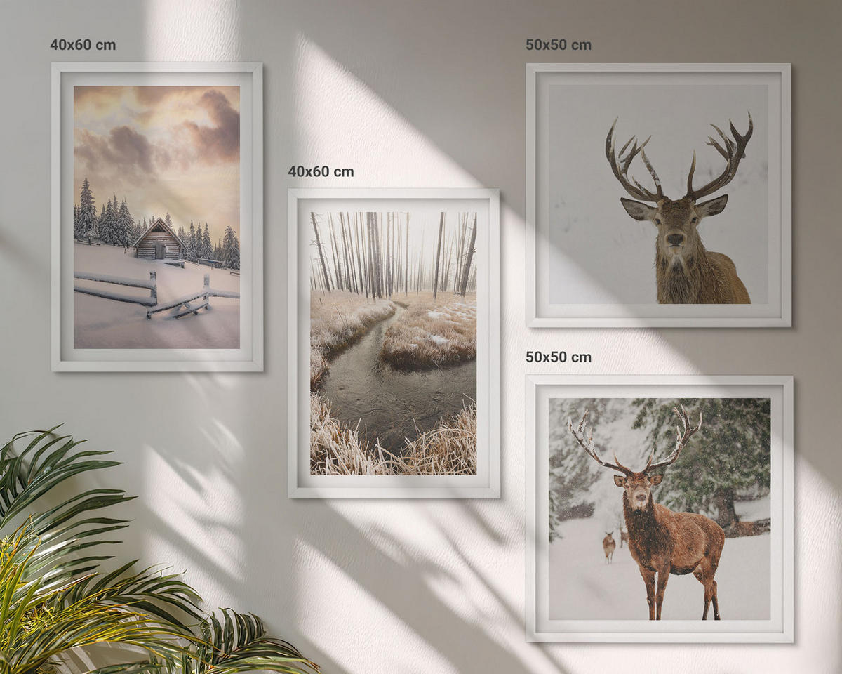 WANDBILDER 4er-Set - 50x50 cm & 40x60 cm Weißer Rahmen - Winterlandschaft mit Hirschen - Weiß, Kunststoff (50/50cm) - ArtPrintCave
