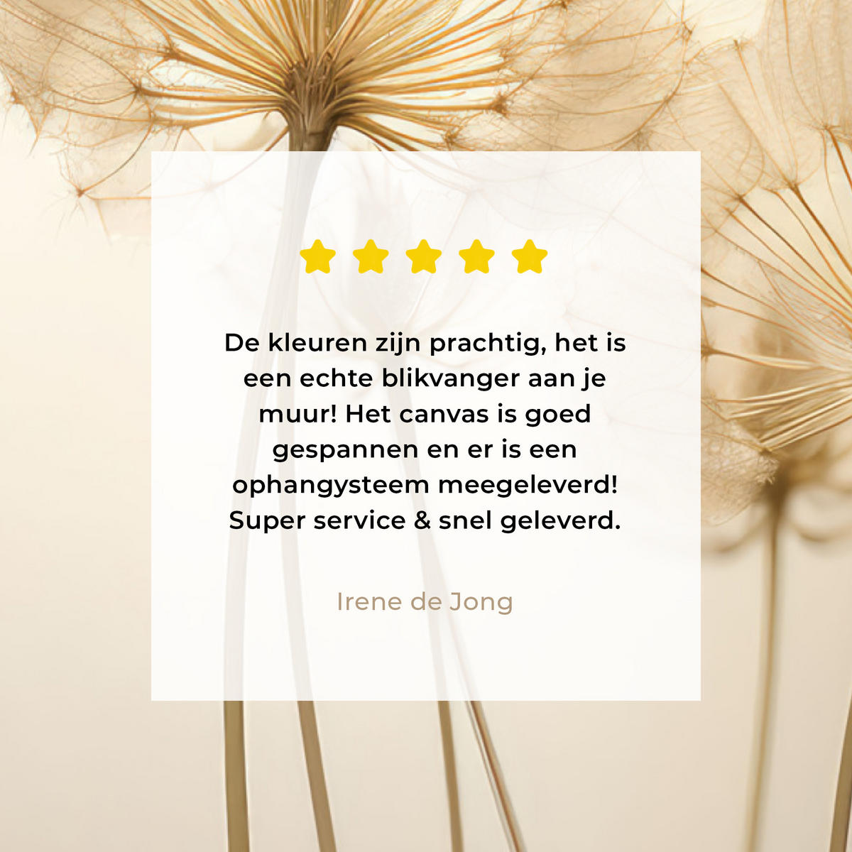 LEINWANDBILD Sonnenlicht - Löwenzahn - Botanisch - Blumen Wandbild Wohnzimmer 60x80 cm - Creme, Textil (60/80cm) - MuchoWow