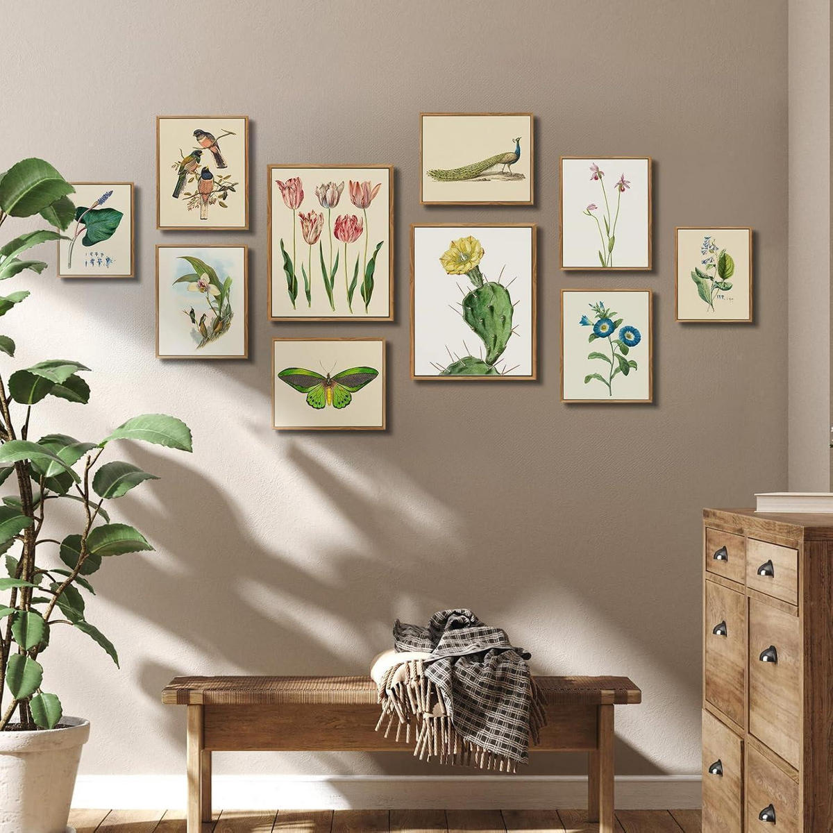 LEINWANDBILD mit Rahmen Botanisch Opuntie 30 x 40 cm - Grün, Holz (30/0.5cm)