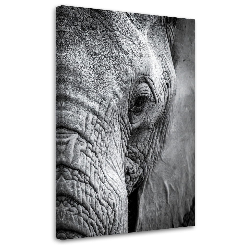 Feeby Leinwandbild, Schwarz 30x45 cm