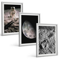 BILDER SET 3er Set - 40x60 cm Silberner Rahmen - Astronautenfoto vom Mond - Silberfarben, Kunststoff (40/60cm) - TULUP