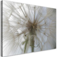 WANDBILD pusteblume pflanzen natur - Beige, Textil (60/40cm) - Feeby