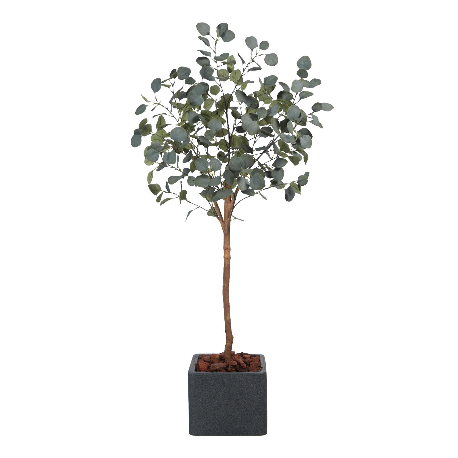 KUNSTBAUM Künstlicher Eucalyptus Baum - Parla 150 cm - Grün, Kunststoff (150cm) - aplanta