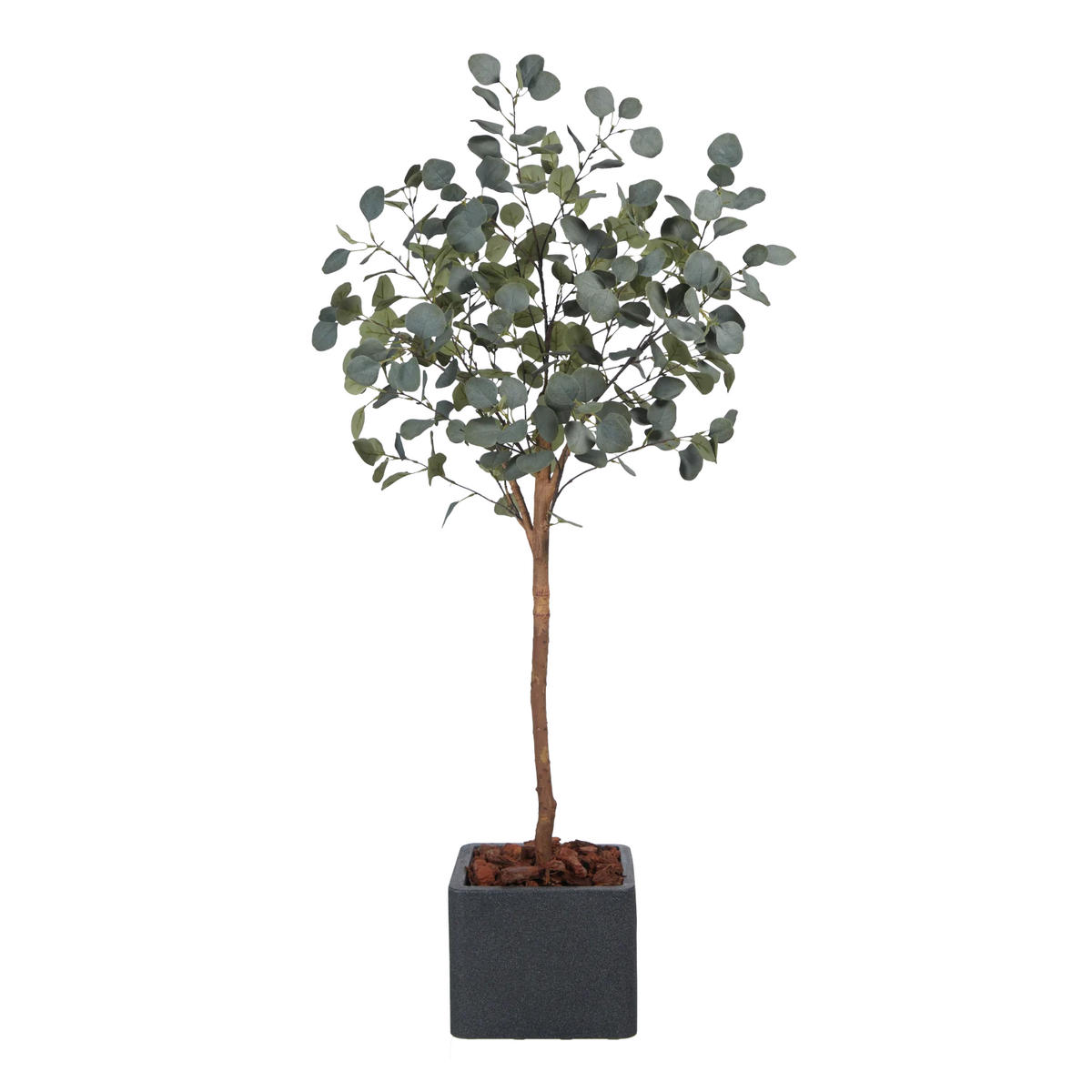 EUCALYPTUS Künstlicher Eucalyptus Baum - Parla 150 cm - Grün, Kunststoff (150cm) - aplanta
