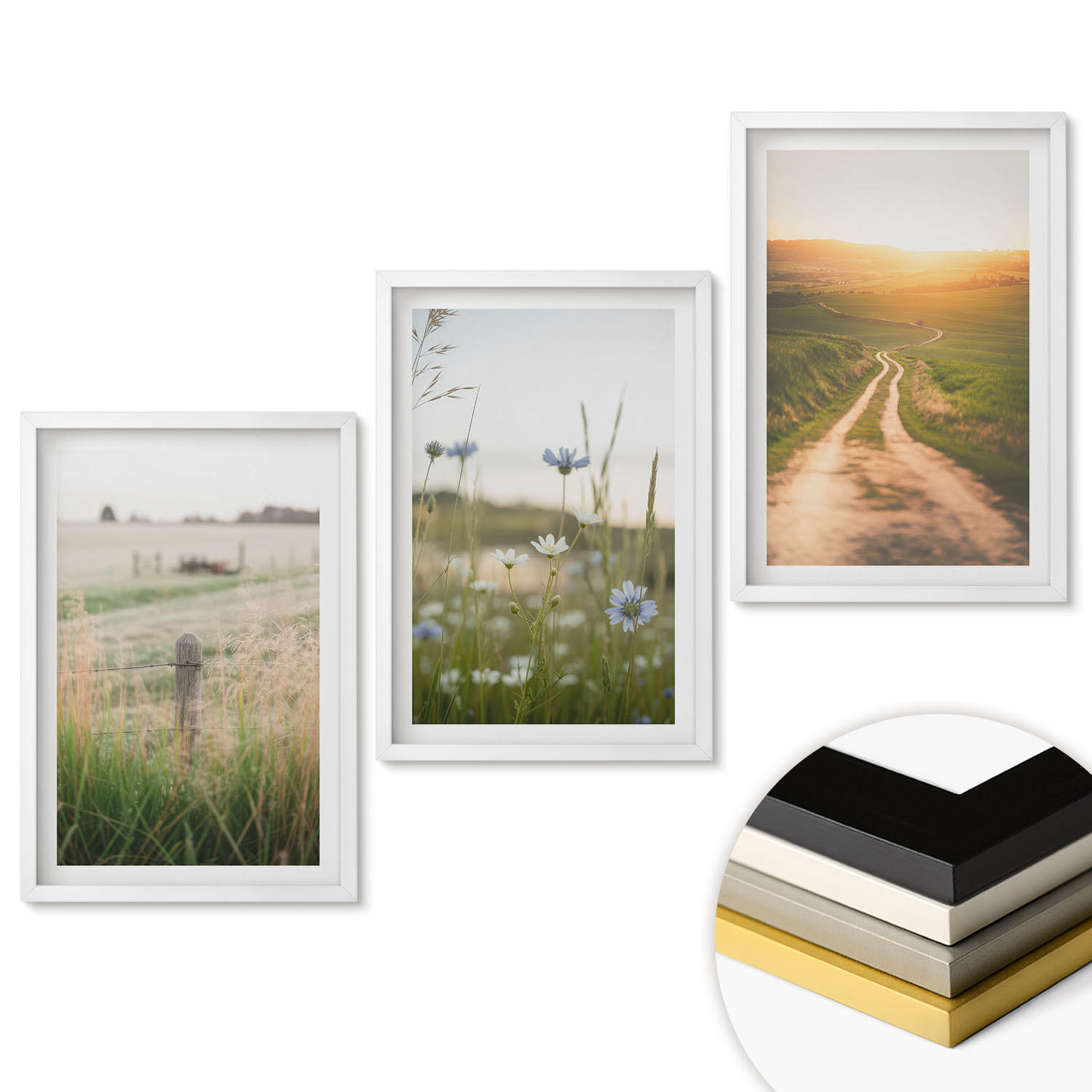WANDBILDER 3er-Set - 40x60 cm Weißer Rahmen - Landschaften Natur Felder Weg - Weiß, Kunststoff (40/60cm) - ArtPrintCave