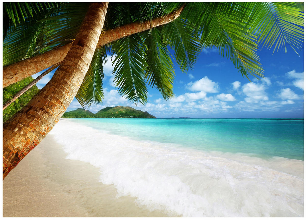 FOTOTAPETE Strand Meer 250x175 - Multicolor, Papier (250/175cm) - Wallarena