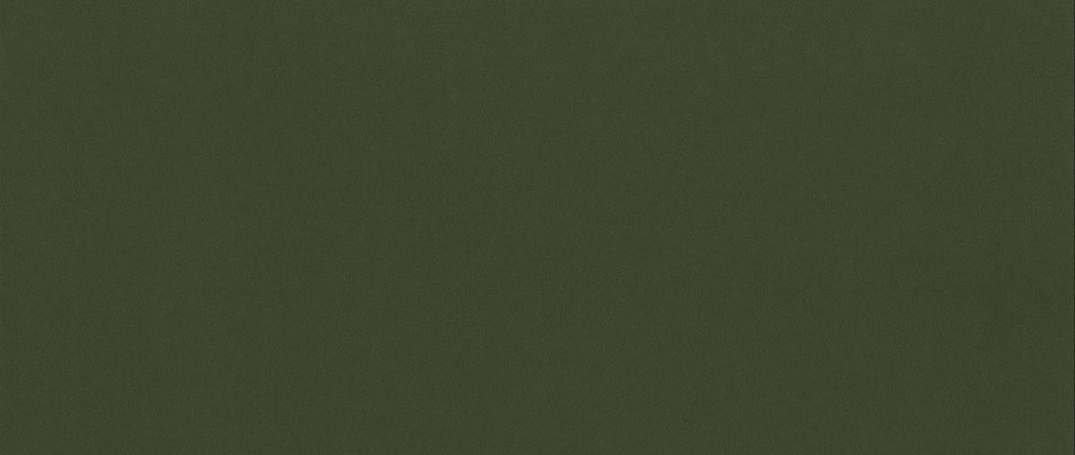 BOXBETT mit Bettkasten und Matratze CLARA Stoff Velvet Olive 200x200 cm H3-Bonell - Olivgrün, Holz/Textil (200/200cm) - Kaiser Möbel
