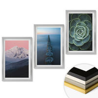 WANDBILDER 3er Set - 40x60 cm Silberner Rahmen - Berge, rosa Himmel, Wasser, Sukkulente - Silberfarben, Kunststoff (40/60cm) - ArtPrintCave