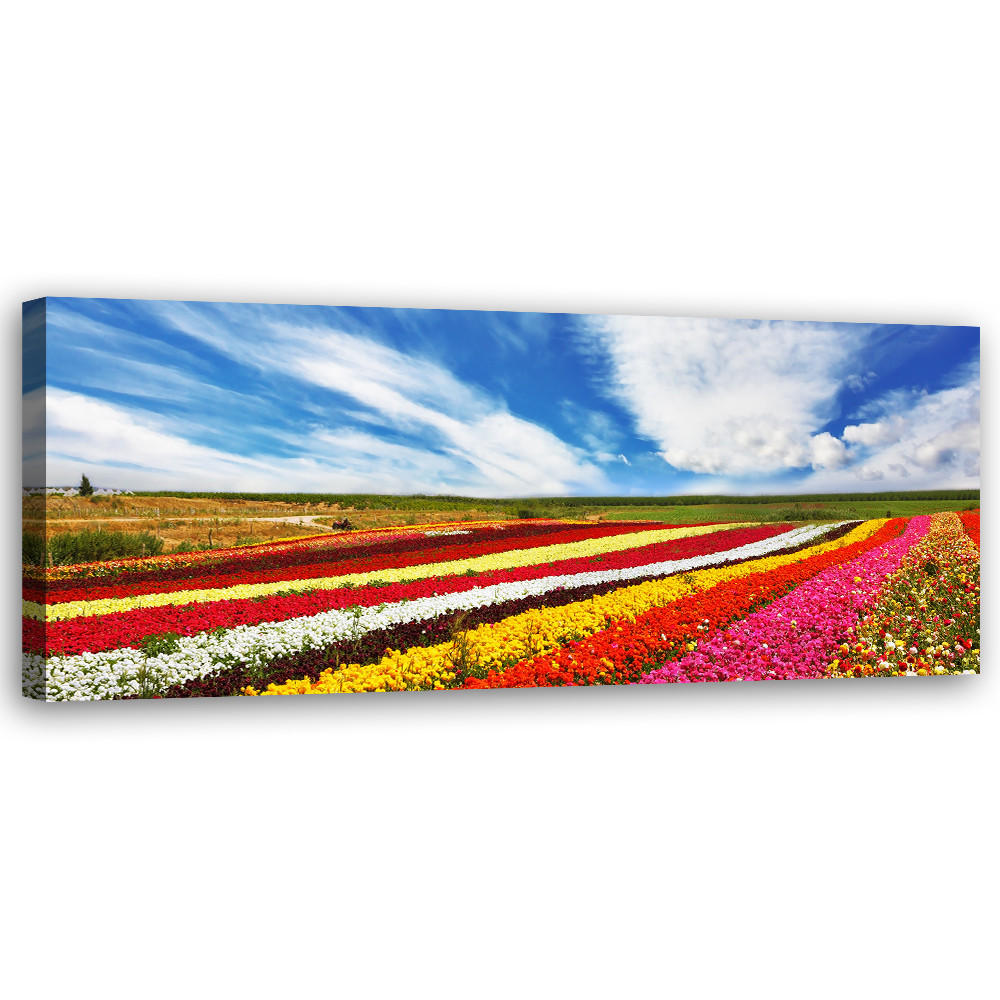 WANDBILD feld mit bunten tulpen - Multicolor, Textil (90/30cm) - Feeby