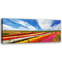 WANDBILD feld mit bunten tulpen - Multicolor, Textil (90/30cm) - Feeby