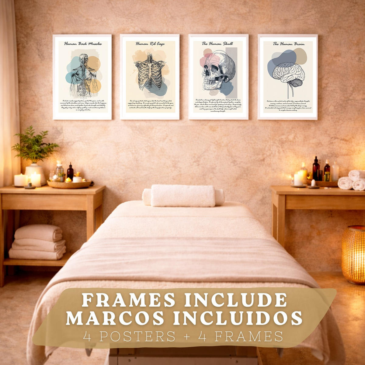 POSTER Set aus 4 Anatomie Mensch Lernposter Drucke und Wandbilder mit Muskeln Rücken Rippen Gehirn und Schädel Modernes Design Größe Weißer Rahmen A4 - Weiß, Papier (21/29.7/3cm) - Nacnic