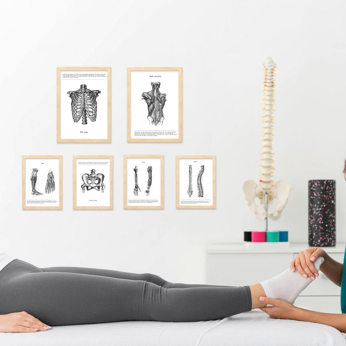 POSTER Set Mit 6 Anatomie Sammlung Von Platten Größe A3 und A4 Rahmenlos - Klar, Papier (29.7/1/42cm) - Nacnic
