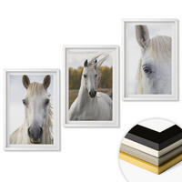 WANDBILDER 3er-Set - 40x60 cm Weißer Rahmen - Weiße Pferde in der Natur - Weiß, Kunststoff (40/60cm) - ArtPrintCave