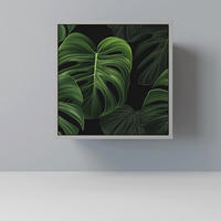 SIDEBOARD INFINITE MONSTERA, Grau, 57,5x42x57,5 cm, Ohne Füße - Multicolor/Grau, Holzwerkstoff (57.5/57.5/42cm) - SpaceRebels
