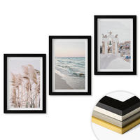 WANDBILDER 3er-Set - 20x30 cm Schwarzer Rahmen - Pflanzen, Meereswellen, Aussicht, Häuser - Schwarz, Kunststoff (20/30cm) - ArtPrintCave