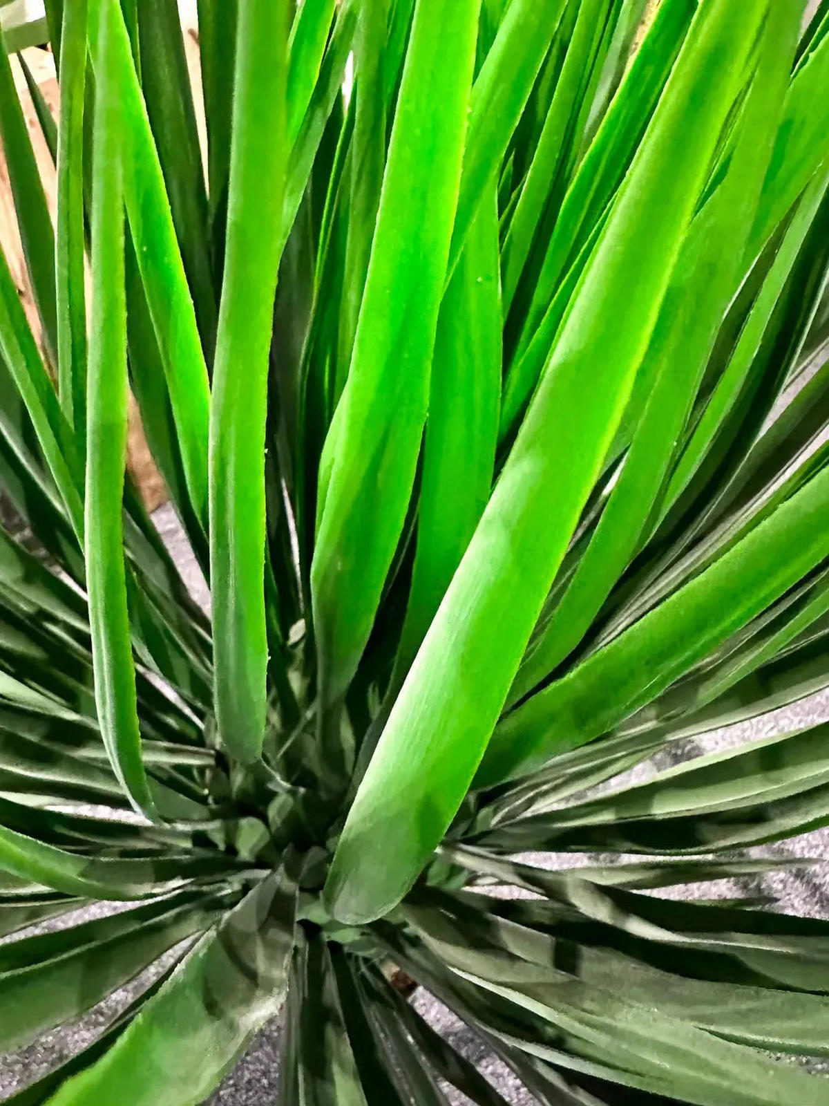 KUNSTBAUM Künstliche Yucca Rostrata Palme - Sven 82 cm - Grün, Kunststoff (82cm) - aplanta