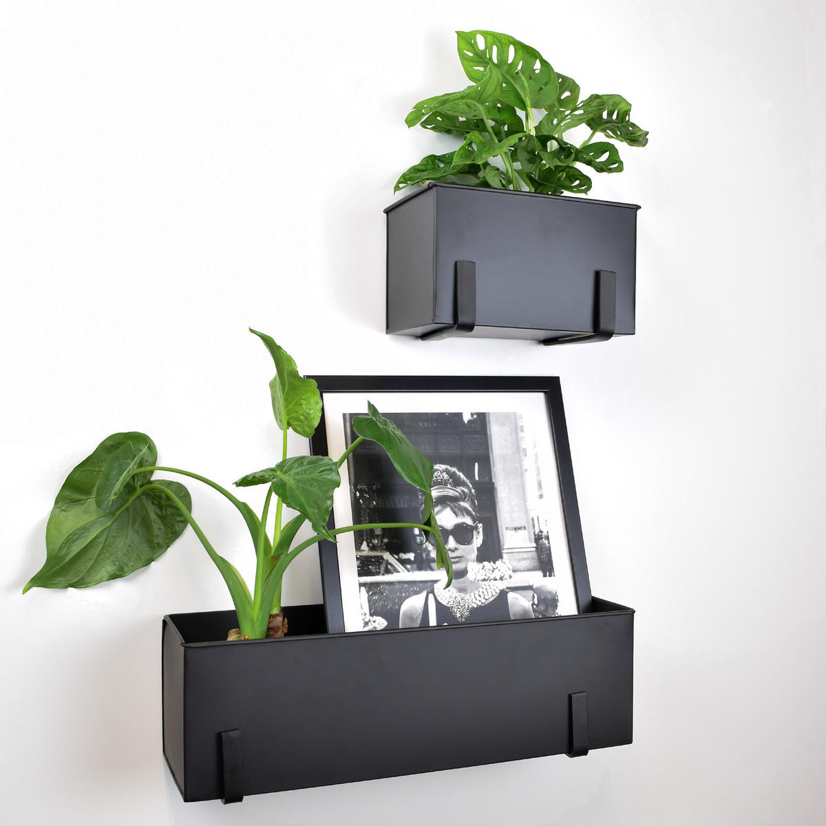 WANDREGAL Flora Schwarz - Schwarz, Metall (25/15/15cm) - LOFT42