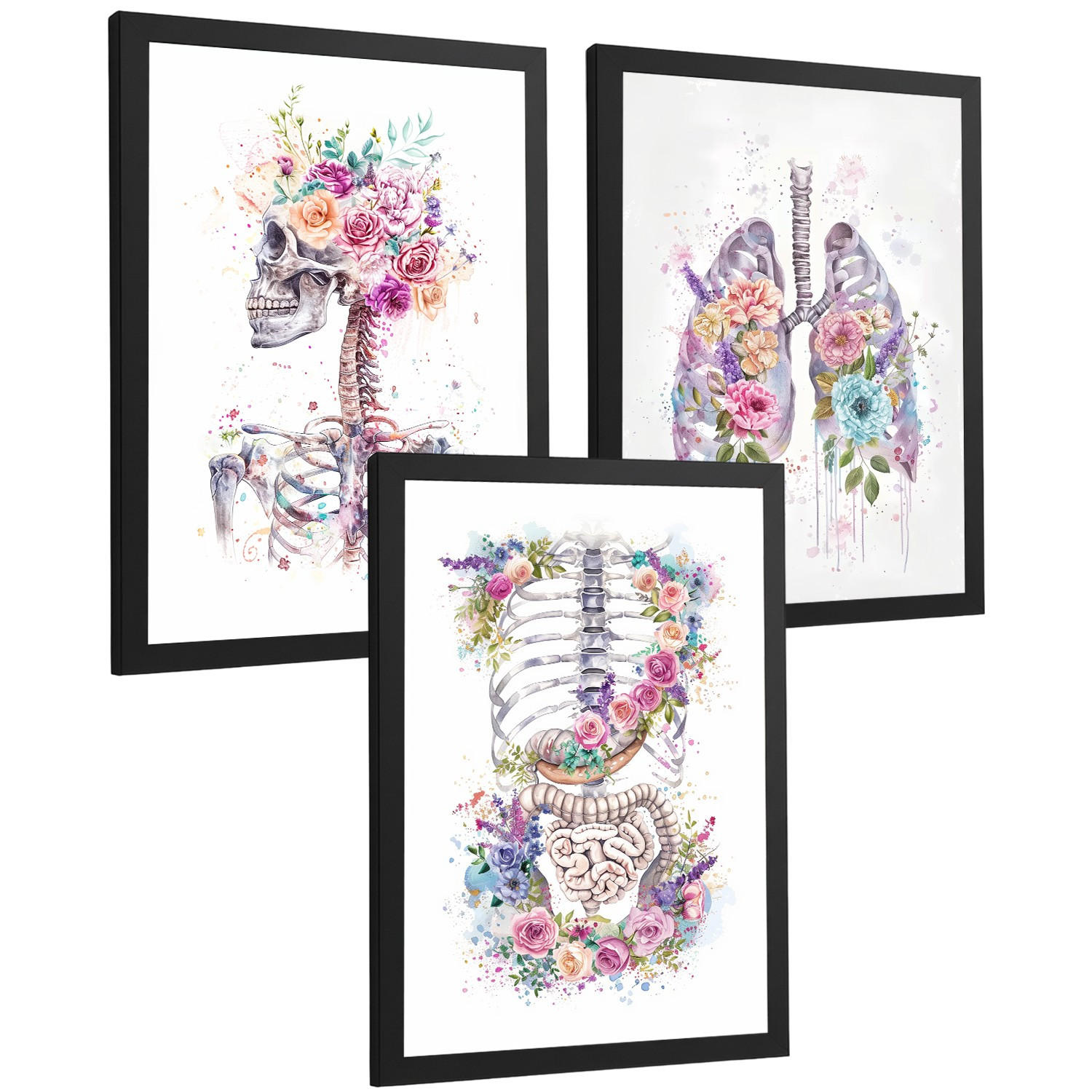 POSTER Set aus 3 Anatomie Drucke mit Skelett Schädel Wirbelsäule Rippen Lungen und Verdauungssystem Künstlerischer Größe Schwarzer Rahmen A3 - Schwarz, Papier (29.7/42/3cm) - Nacnic