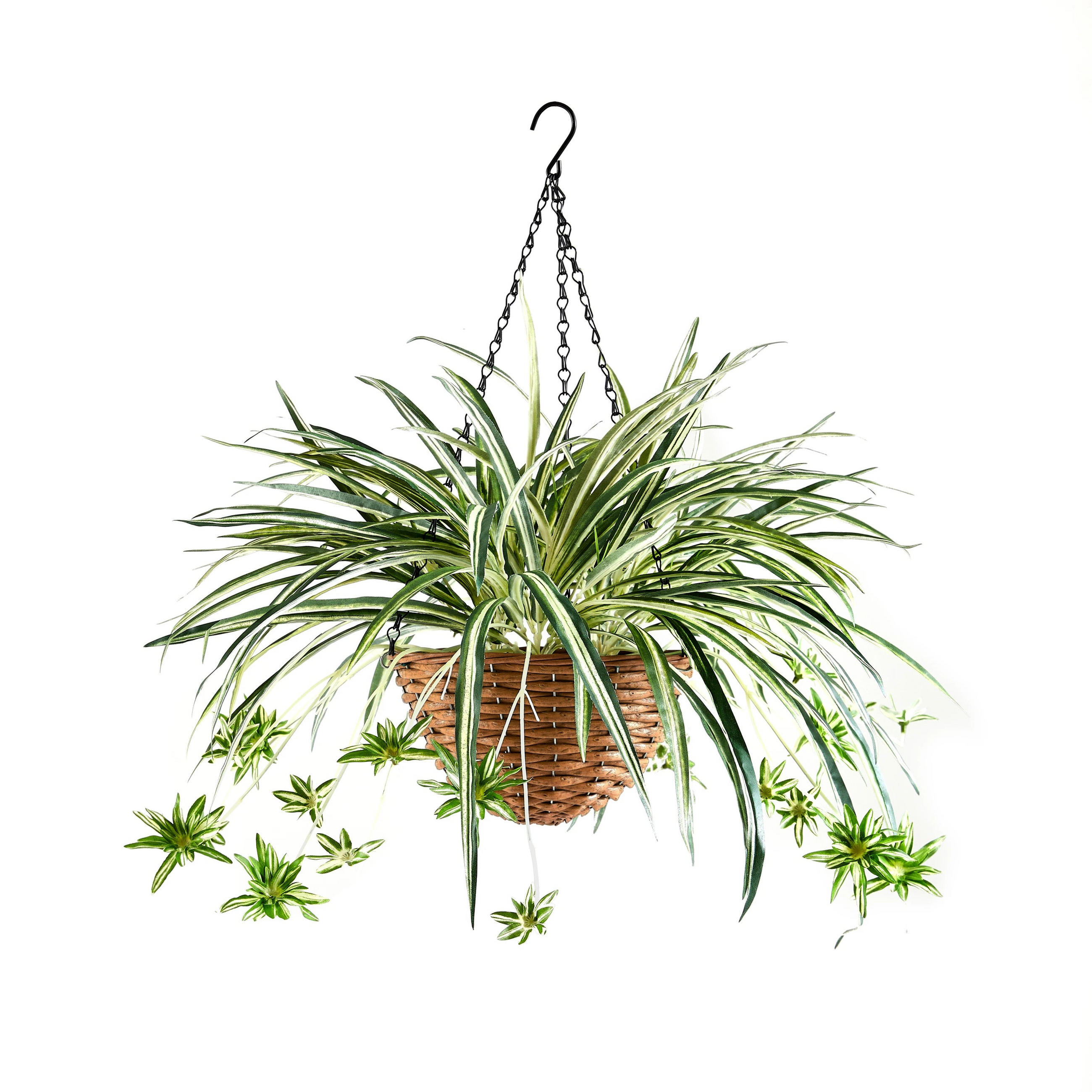 KUNSTPFLANZE Künstliche Hänge-Grünlilie – Aurelio 60 cm - Grün, Kunststoff (60cm) - aplanta