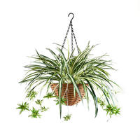 KUNSTPFLANZE Künstliche Hänge-Grünlilie – Aurelio 60 cm - Grün, Kunststoff (60cm) - aplanta