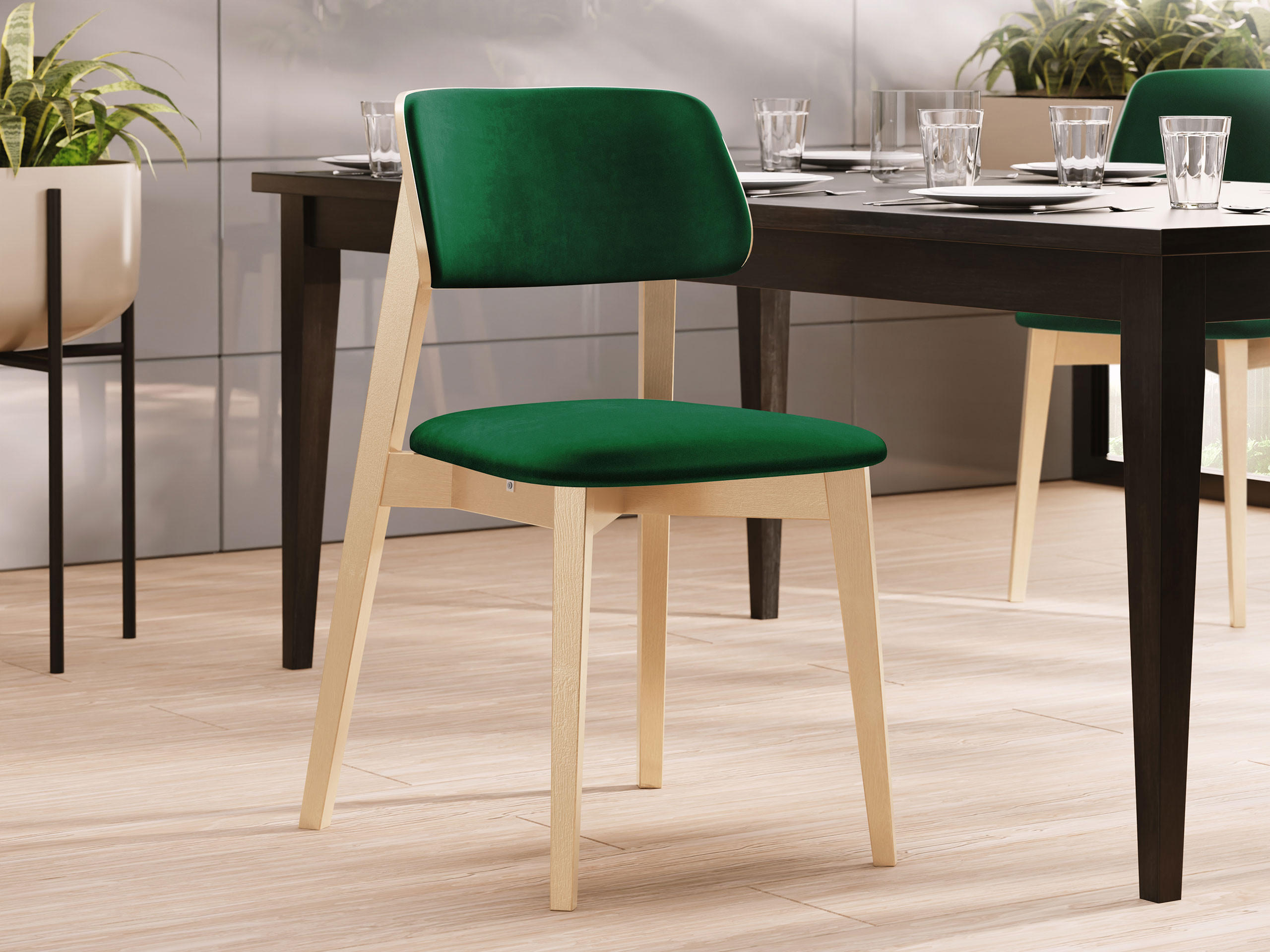 WOHNZIMMER STUHL KT63/C, Holzfarbe: Buche - Buchefarben/Grün, Holz/Textil (47/80/49cm) - MIRJAN24