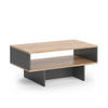 COUCHTISCH Josef Anthrazit/Goldkraft Eiche 80 x 46,2 cm mit 1 Regal - Honigeiche/Anthrazit, Holzwerkstoff (46.2/80/35.4cm) - Vicco