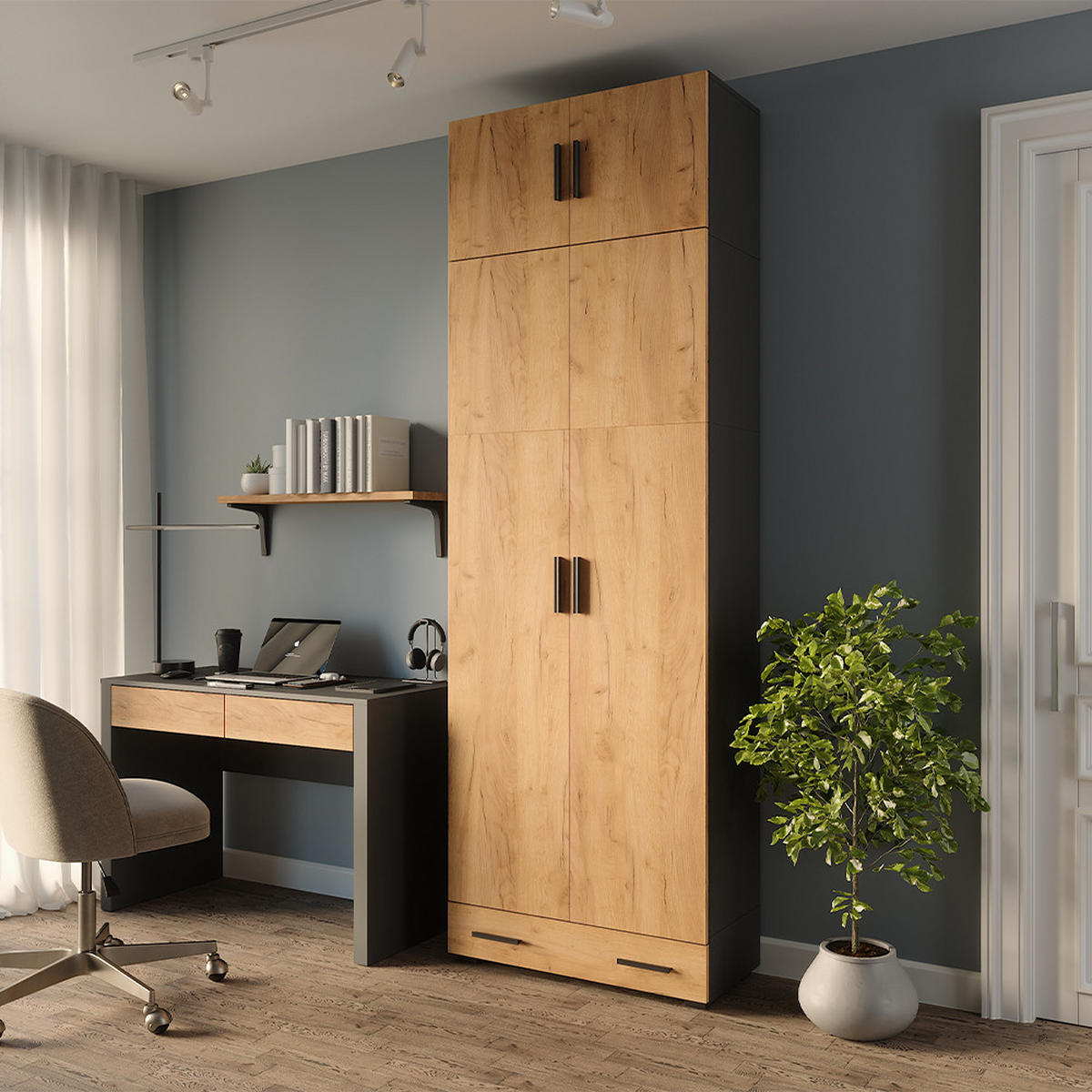 REGÁL NA DOKUMENTY Frank Antracit/zlatý dub - antracitová, kompozitní dřevo (80/241.2/37cm) - Vicco