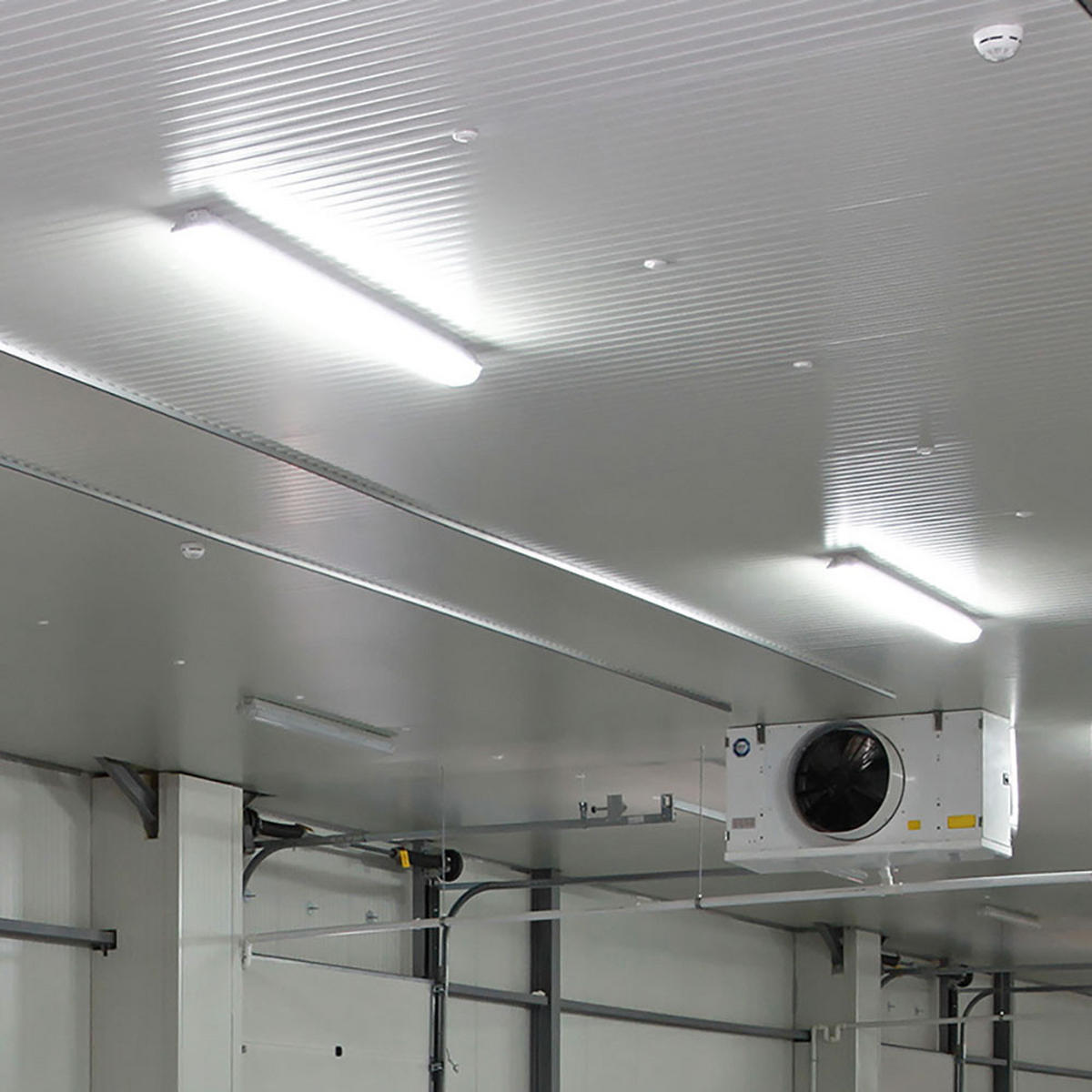 LED DECKENLEUCHTE Weiß Kunststoff - Weiß, Kunststoff (120/6.5/5.8cm)