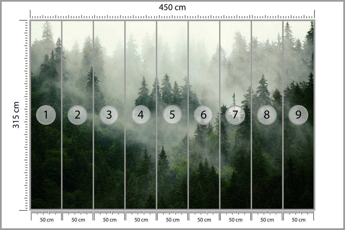 FOTOTAPETE Wald im Nebel Natur Landschaft 3D 450x315 - Grau/Grün, Papier (450/315cm) - Muralo
