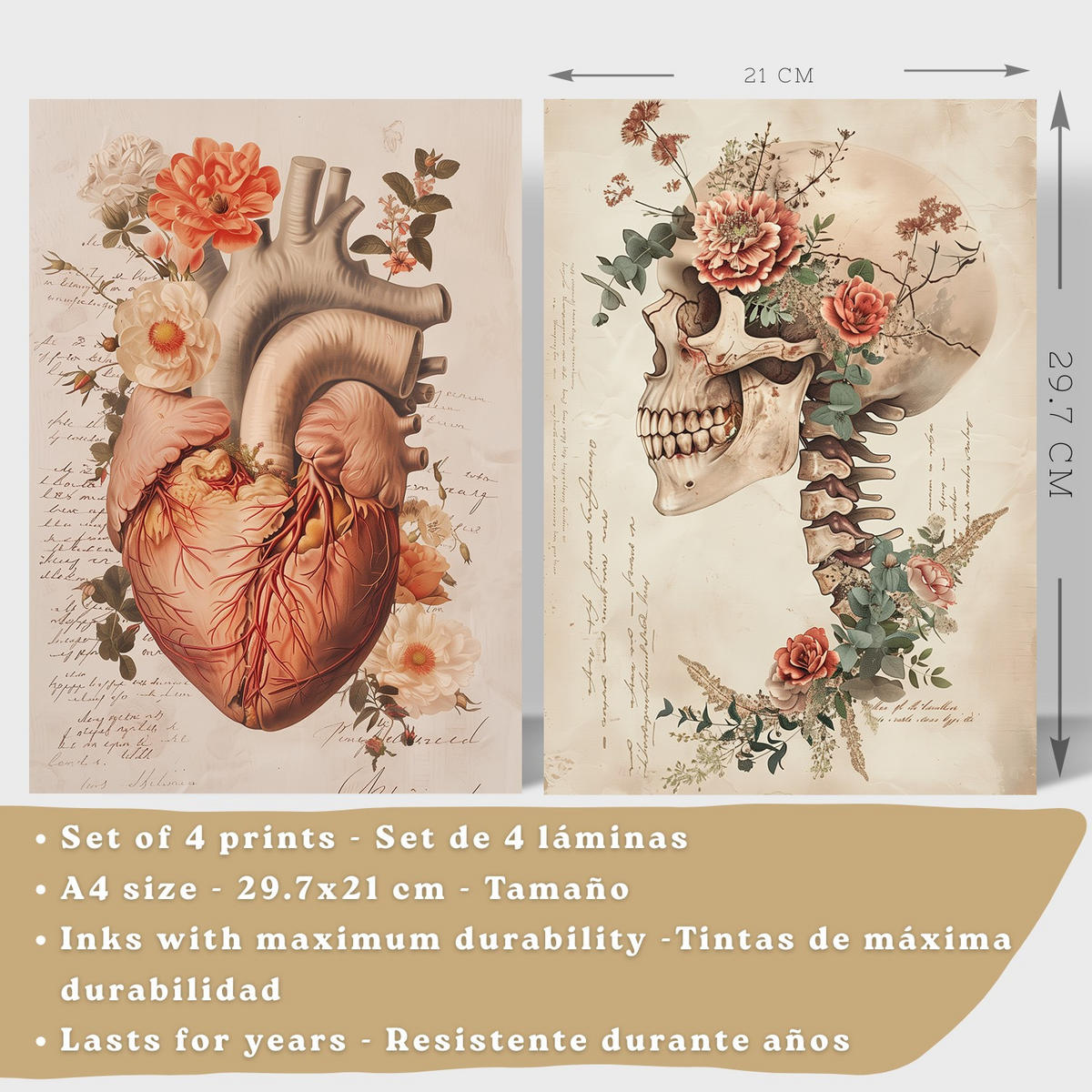 POSTER Set aus 4 Vintage Anatomie Drucke und Wandbilder mit Blumen Herz Lungen Schädel und Gehirn Medizinische Wanddekoration Größe Weißer Rahmen A4 - Weiß, Papier (21/29.7/3cm) - Nacnic