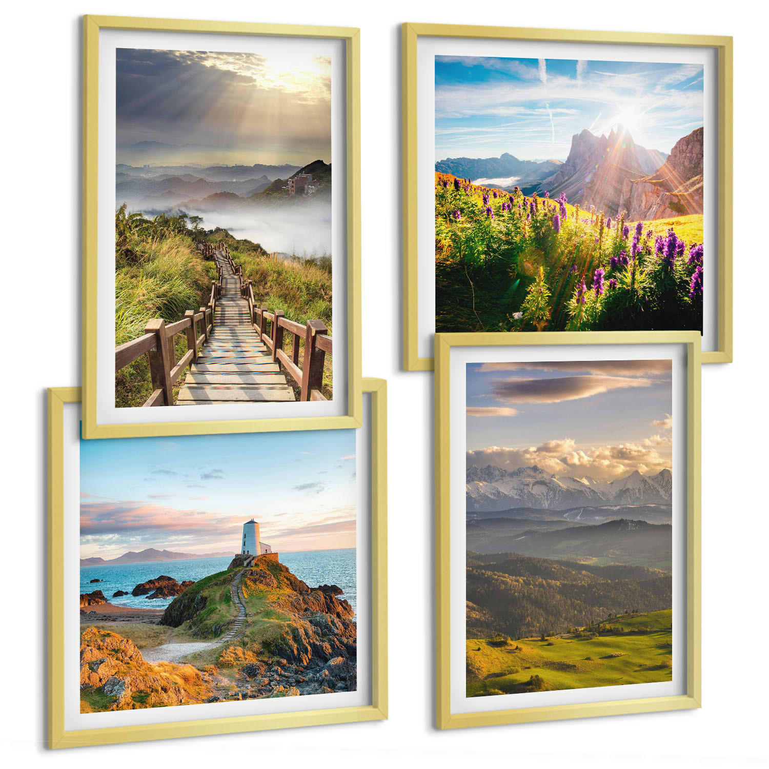 BILDER SET 4er Set - 50x50 cm & 40x60 cm Goldrahmen - Bergblumen Himmelsweg - Goldfarben, Kunststoff (50/50cm) - TULUP