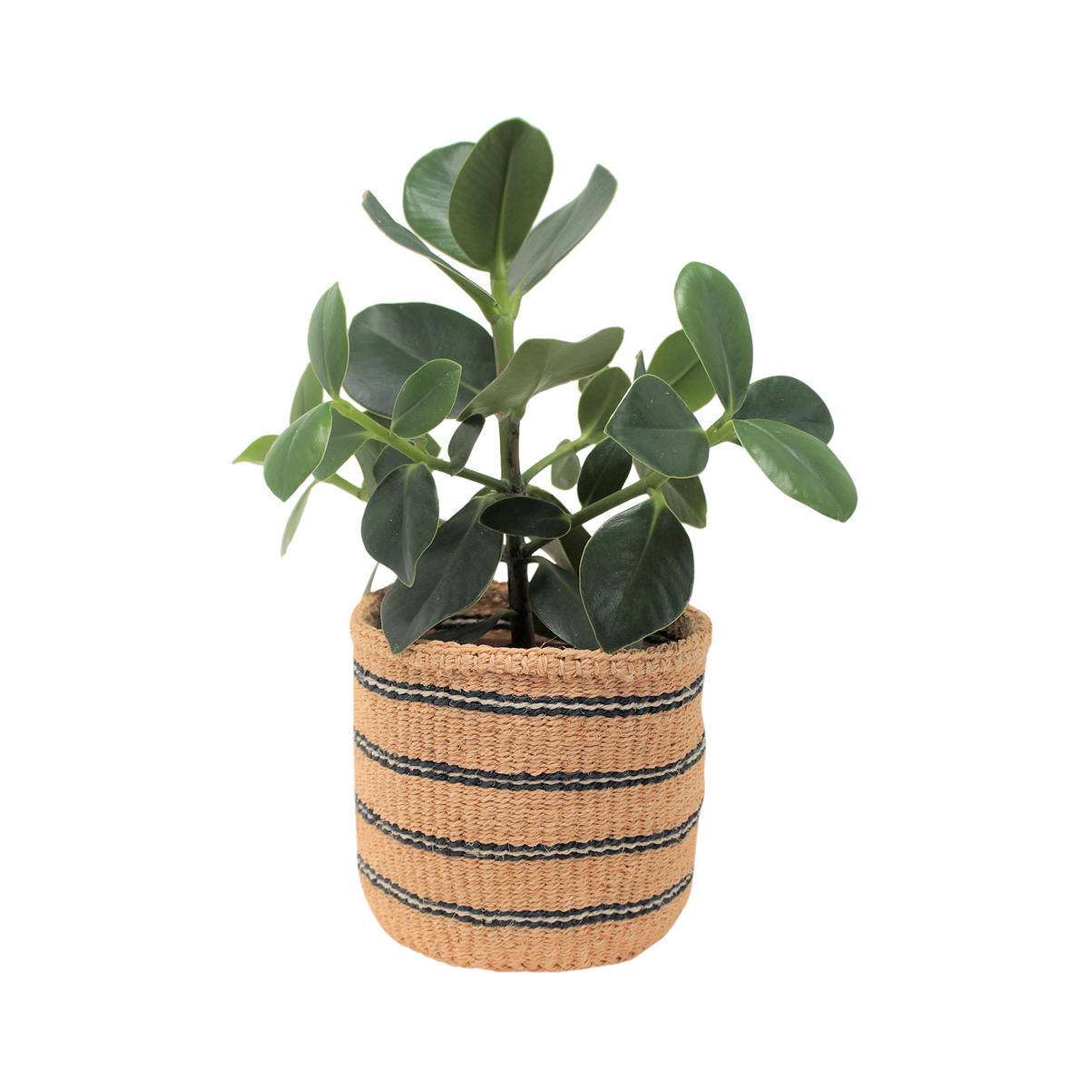 KORB Nio aus Sisal Ø14 cm - Braun, Naturmaterialien (14/14/14cm) - LaLe Living