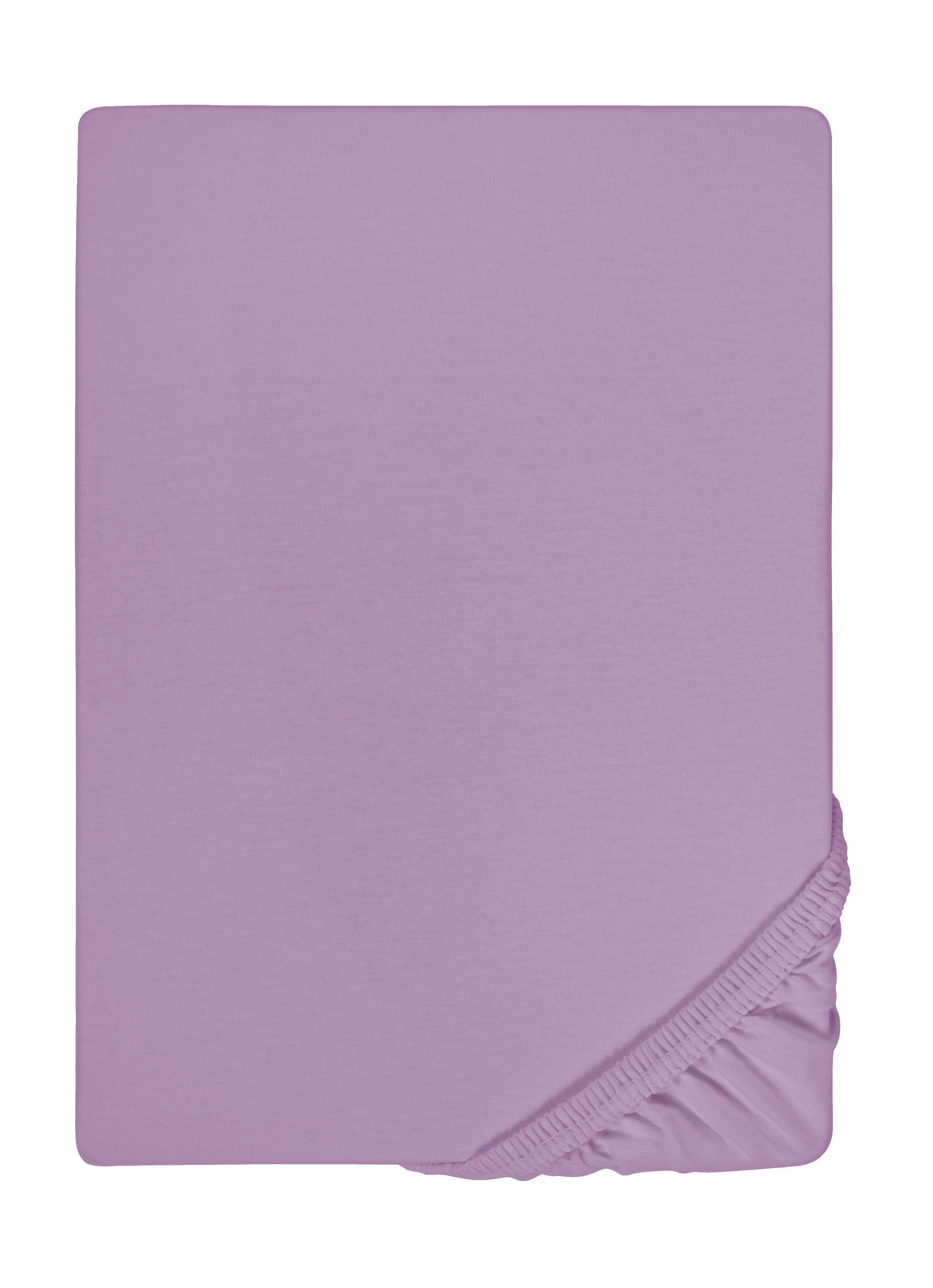 biberna Spannbetttuch Violett 200x200 cm